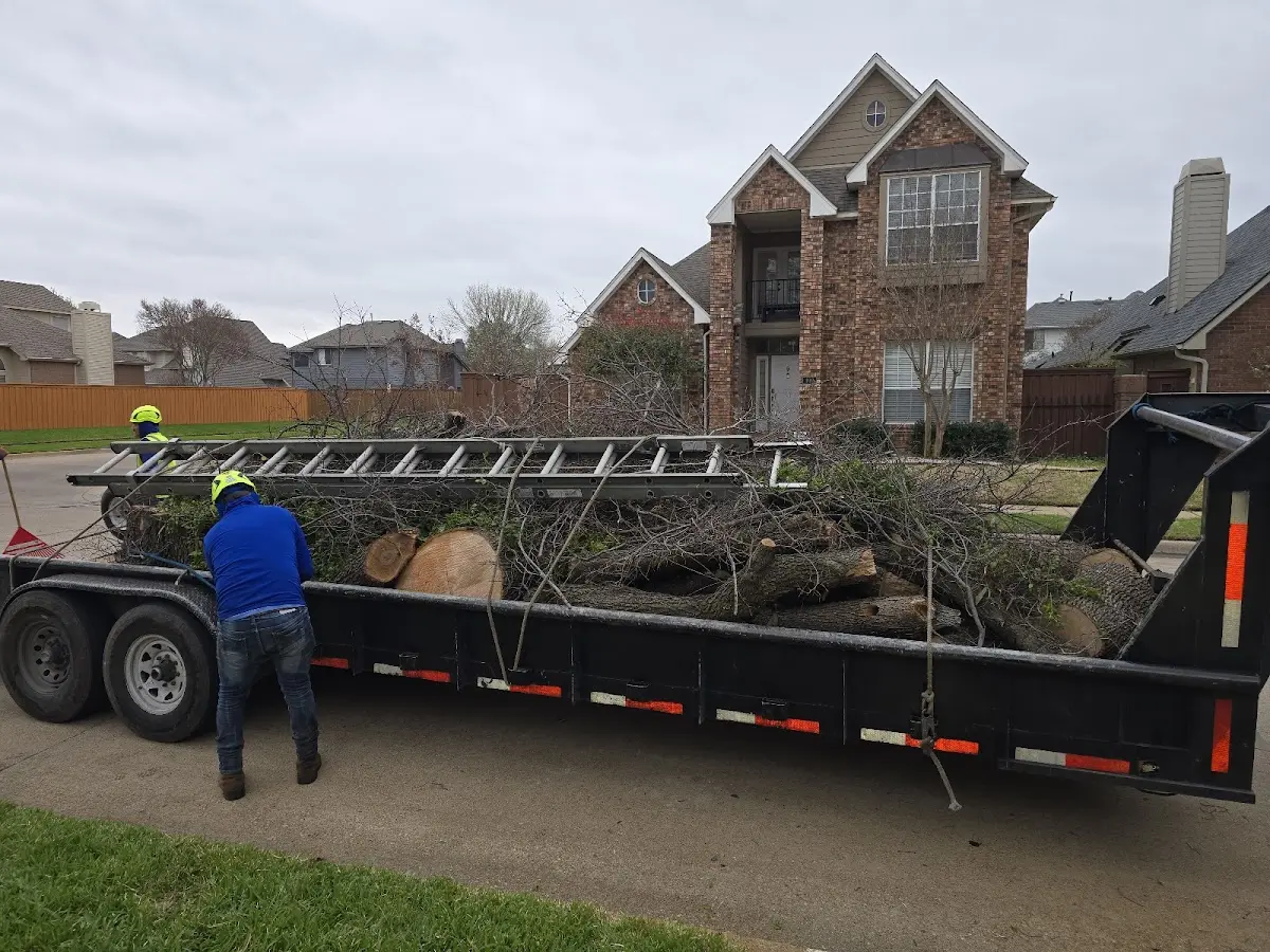 Expert Tree Pest Control with proper safety equipment in Williamsburg